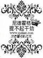 尼德霍格提不起劲 正义的太阳骑士黑王殿